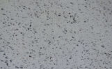 Mottle Grey