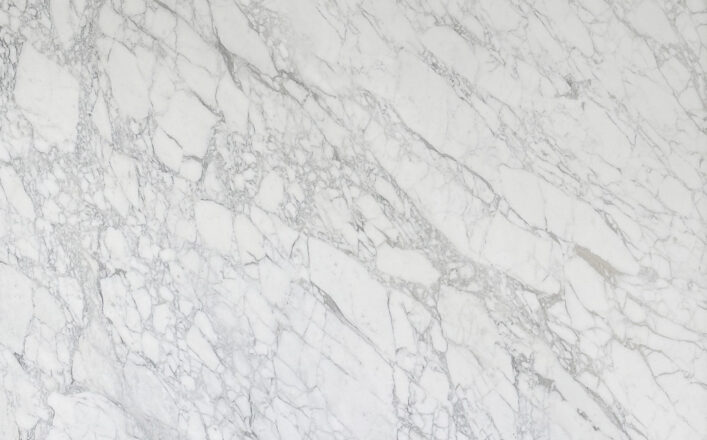 LVNS1022 CALACATTA VAGLI