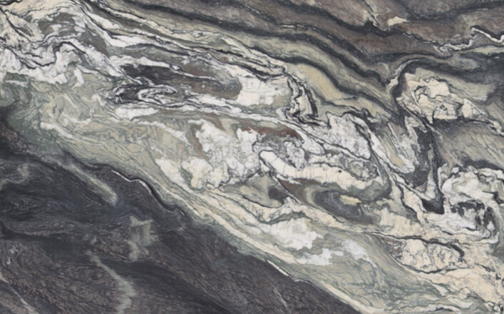 LVNS1466 CIPOLLINO EXTRA